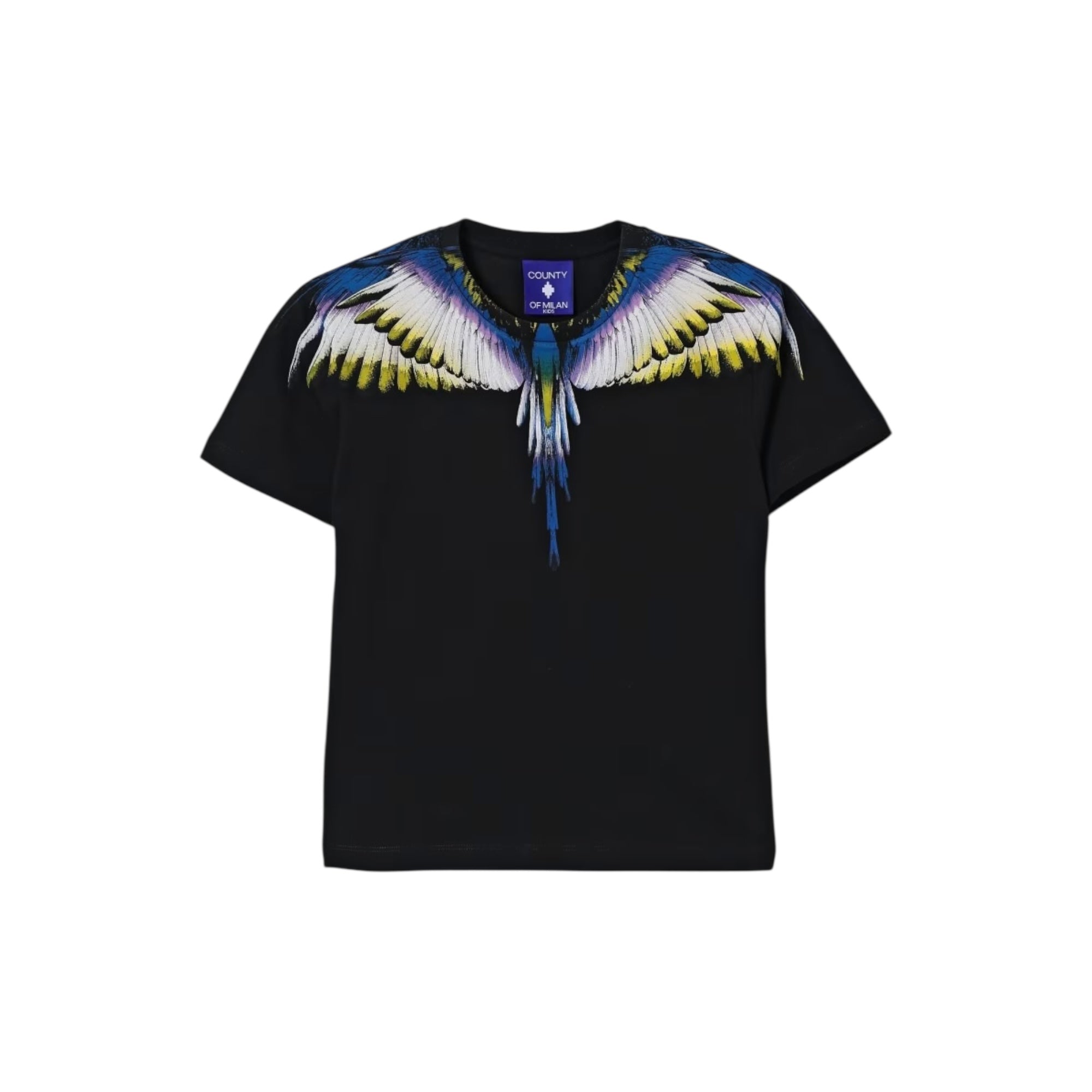 COUNTY OF MILAN F5CMJBTH064110