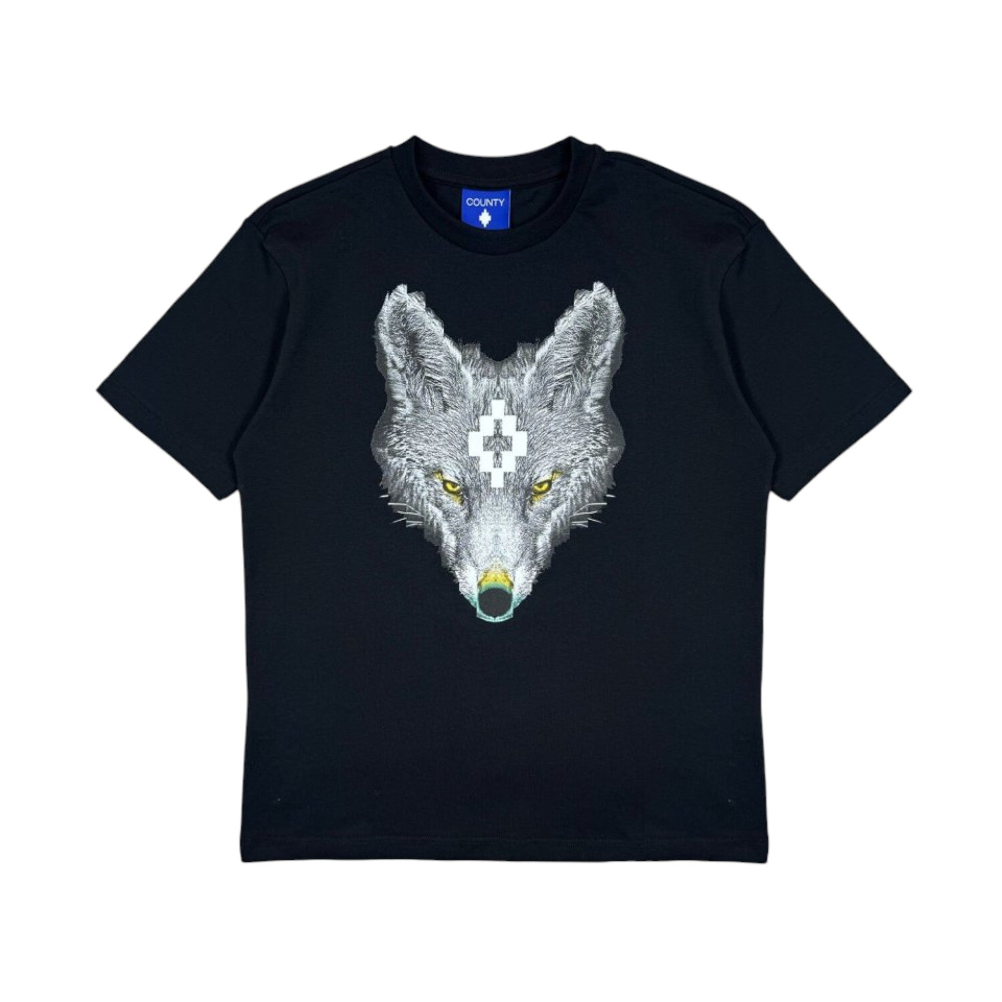 COUNTY OF MILAN F5CMJBTH078110