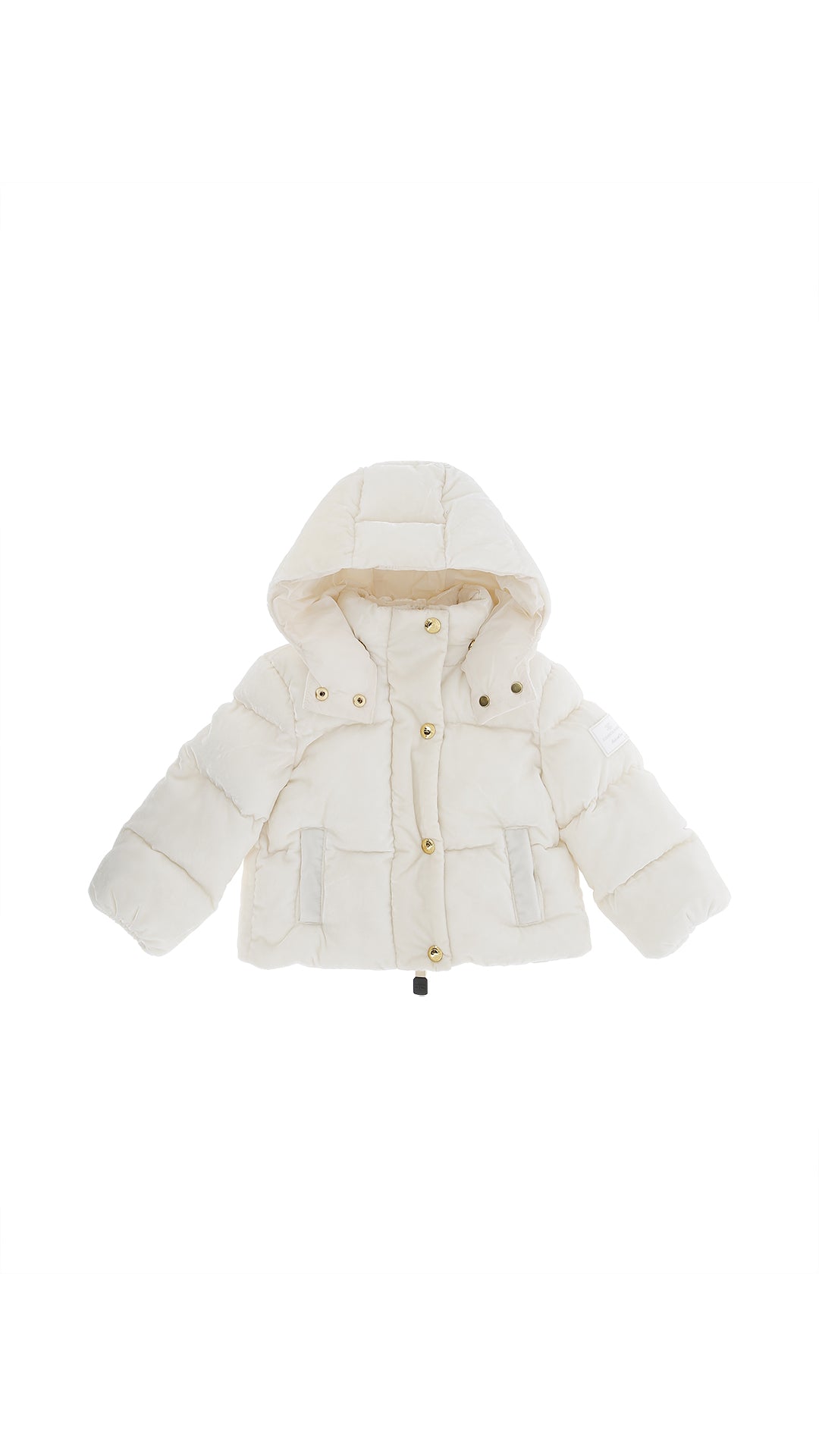 ELISABETTA FRANCHI EGGB037.C.NY2950067