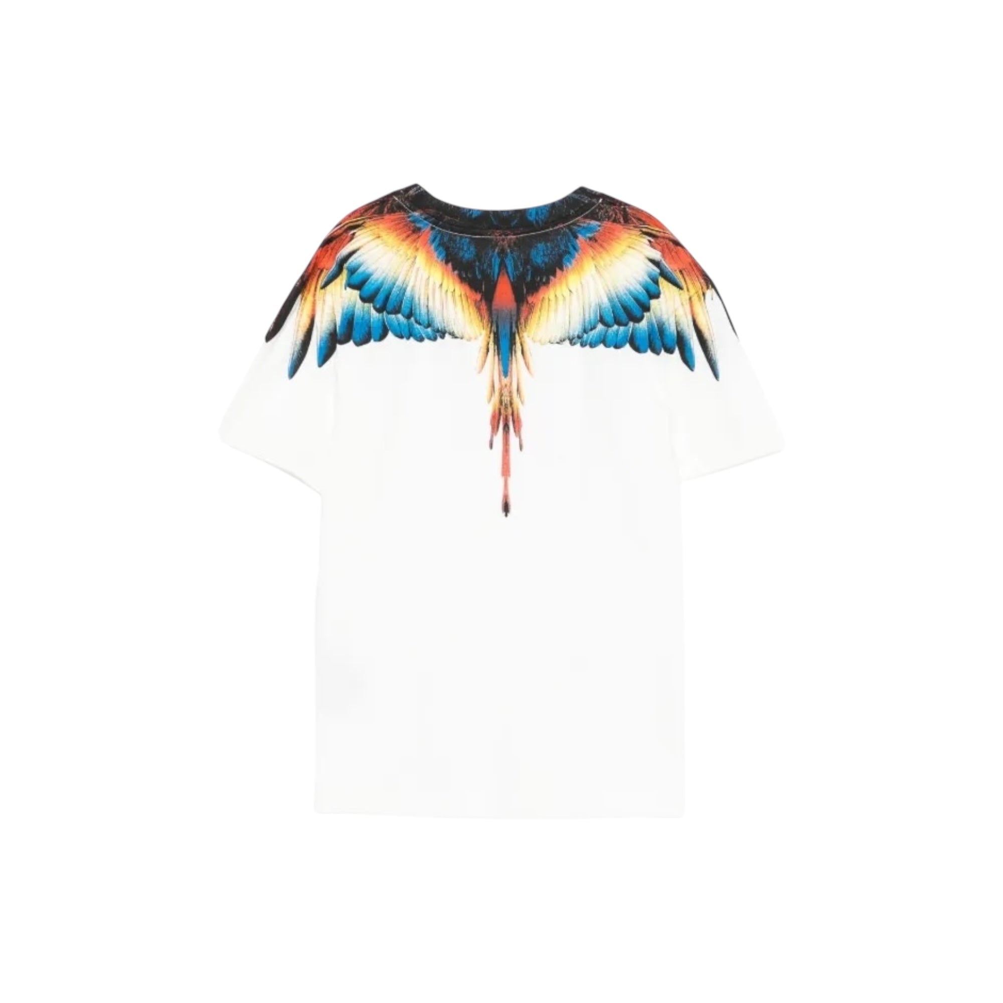 COUNTY OF MILAN F5CMJBTH062002