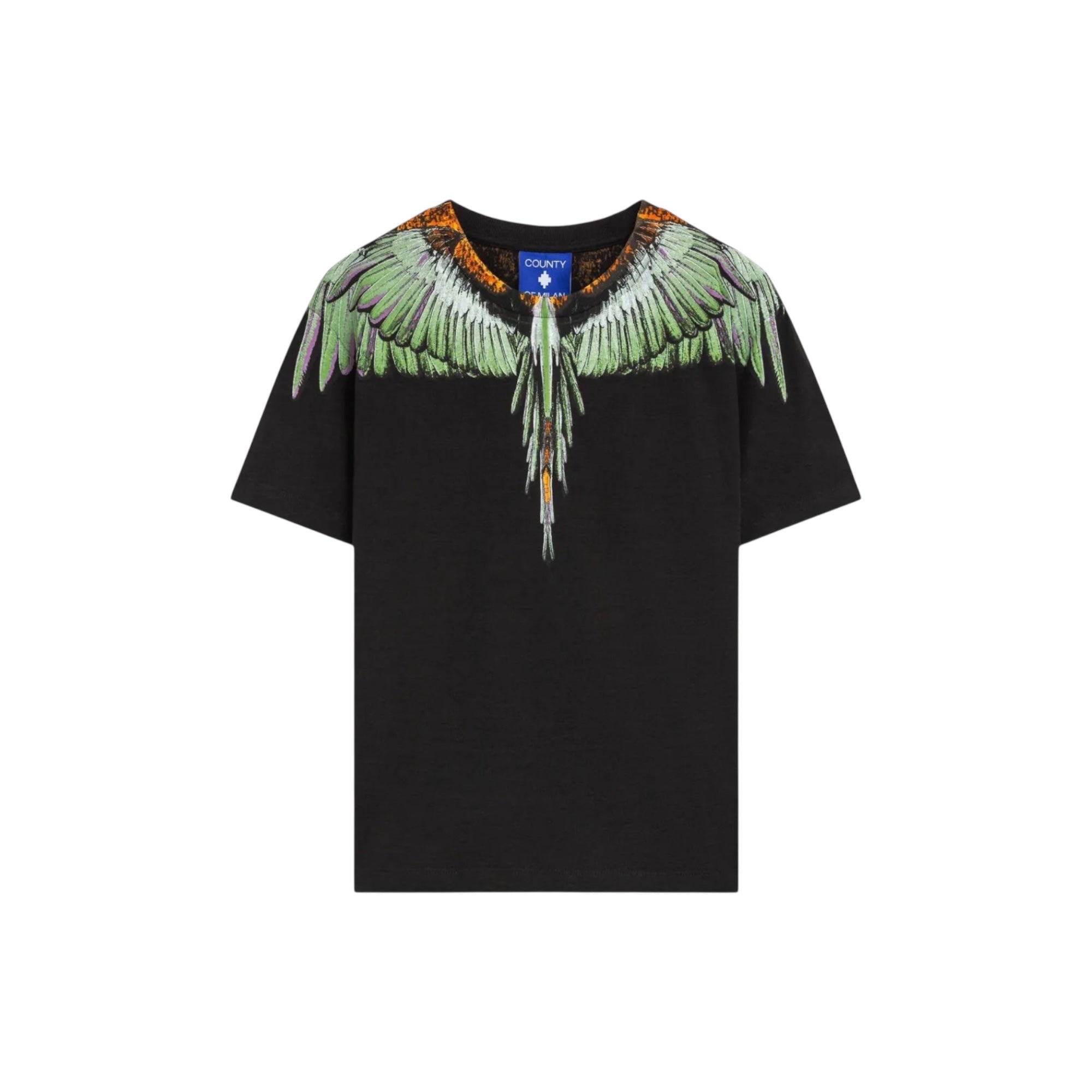 COUNTY OF MILAN F5CMJBTH063110