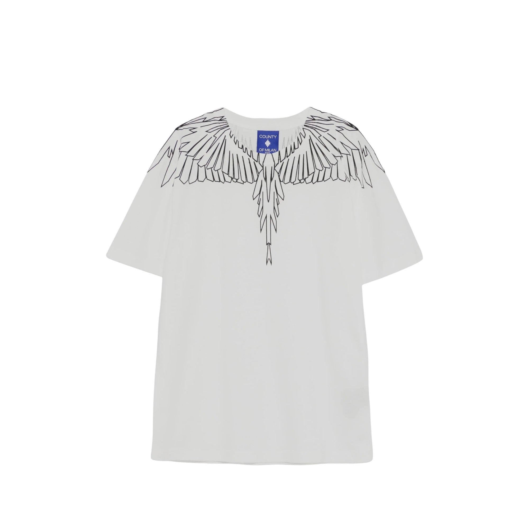 COUNTY OF MILAN F5CMJBTH073002