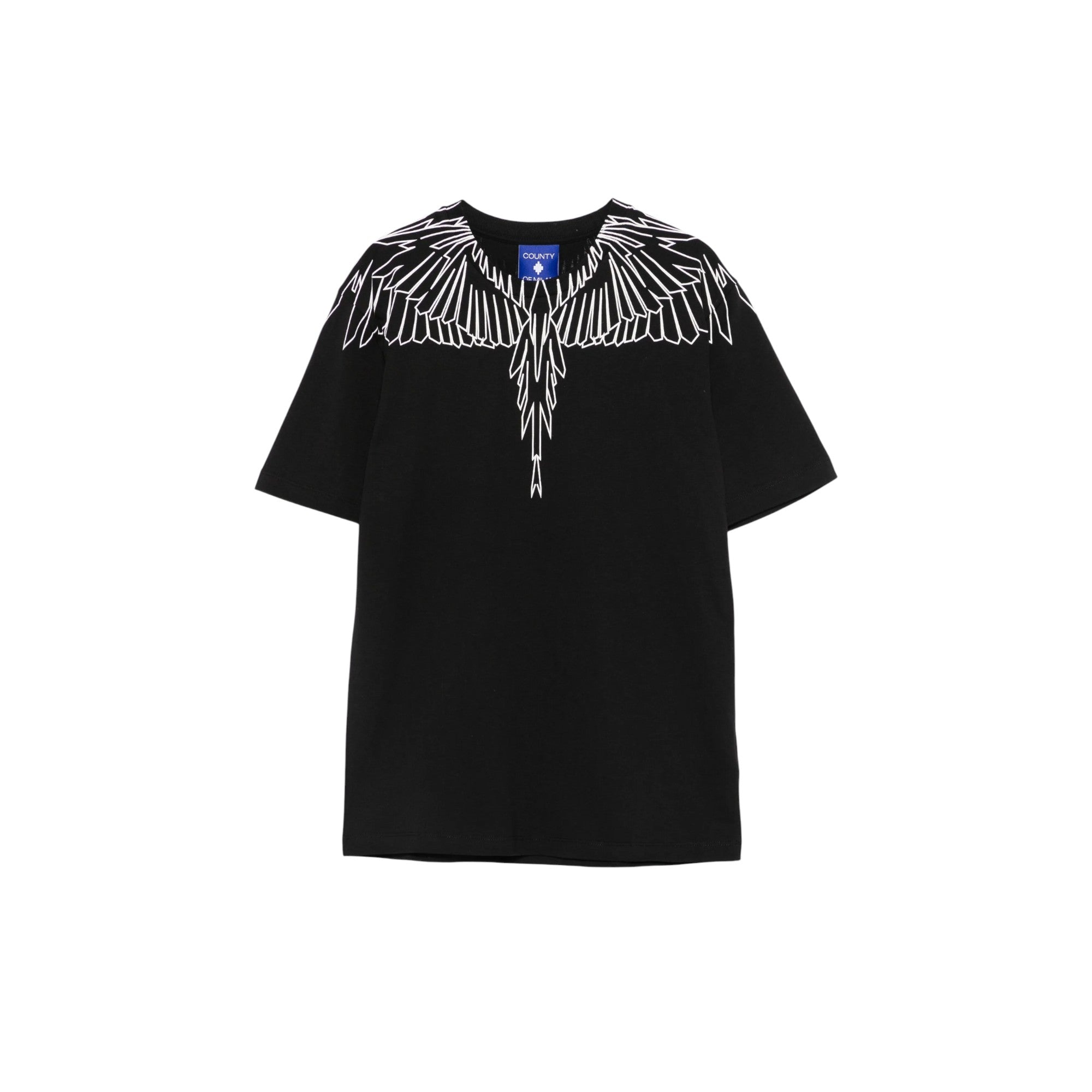 COUNTY OF MILAN F5CMJBTH073110