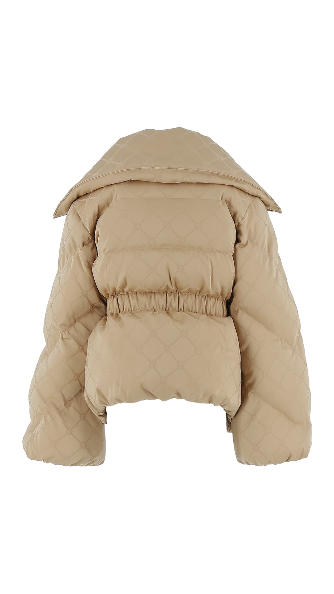 ELISABETTA FRANCHI EFGB130.C.NY1980101##