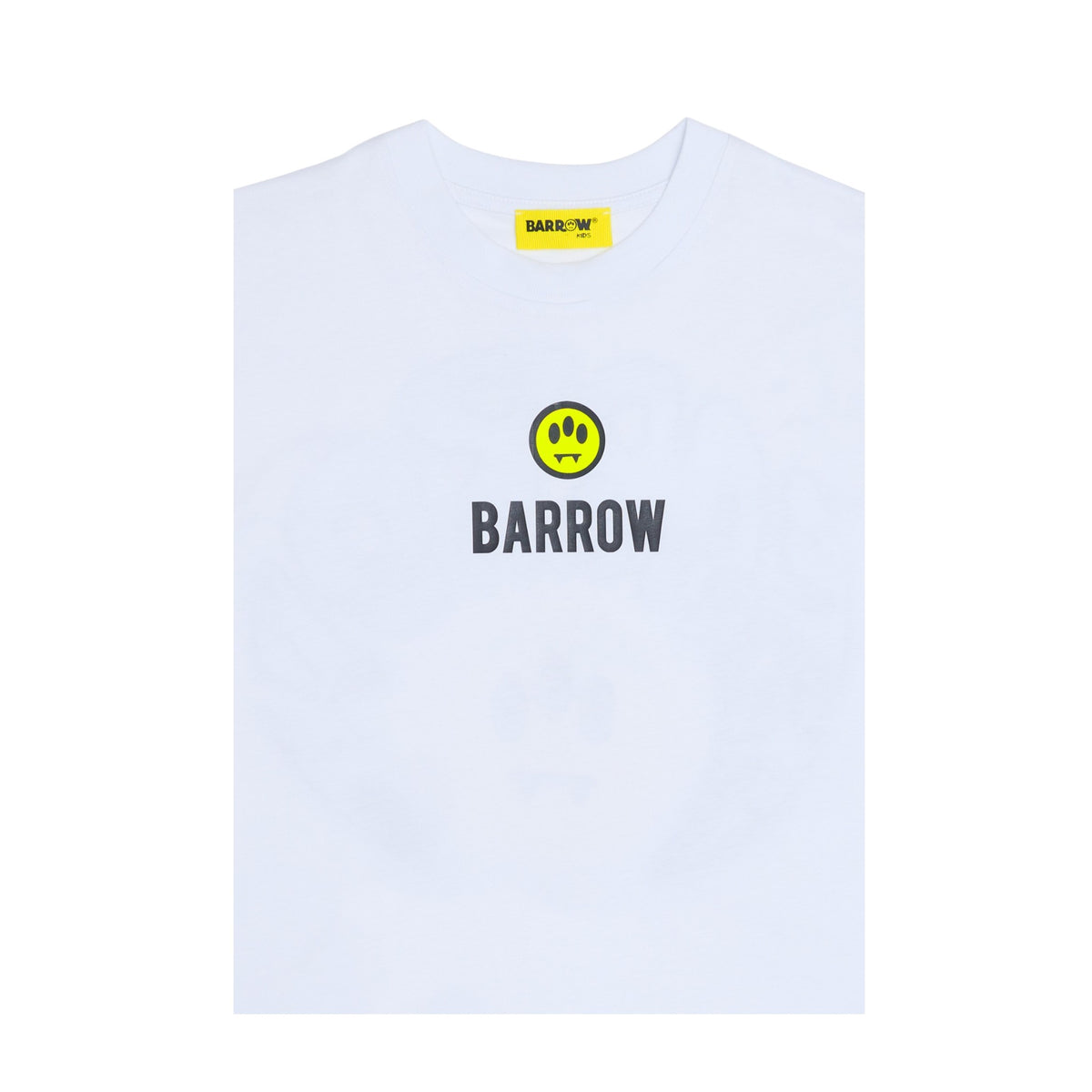 F6BKJBTH077002 BARROW