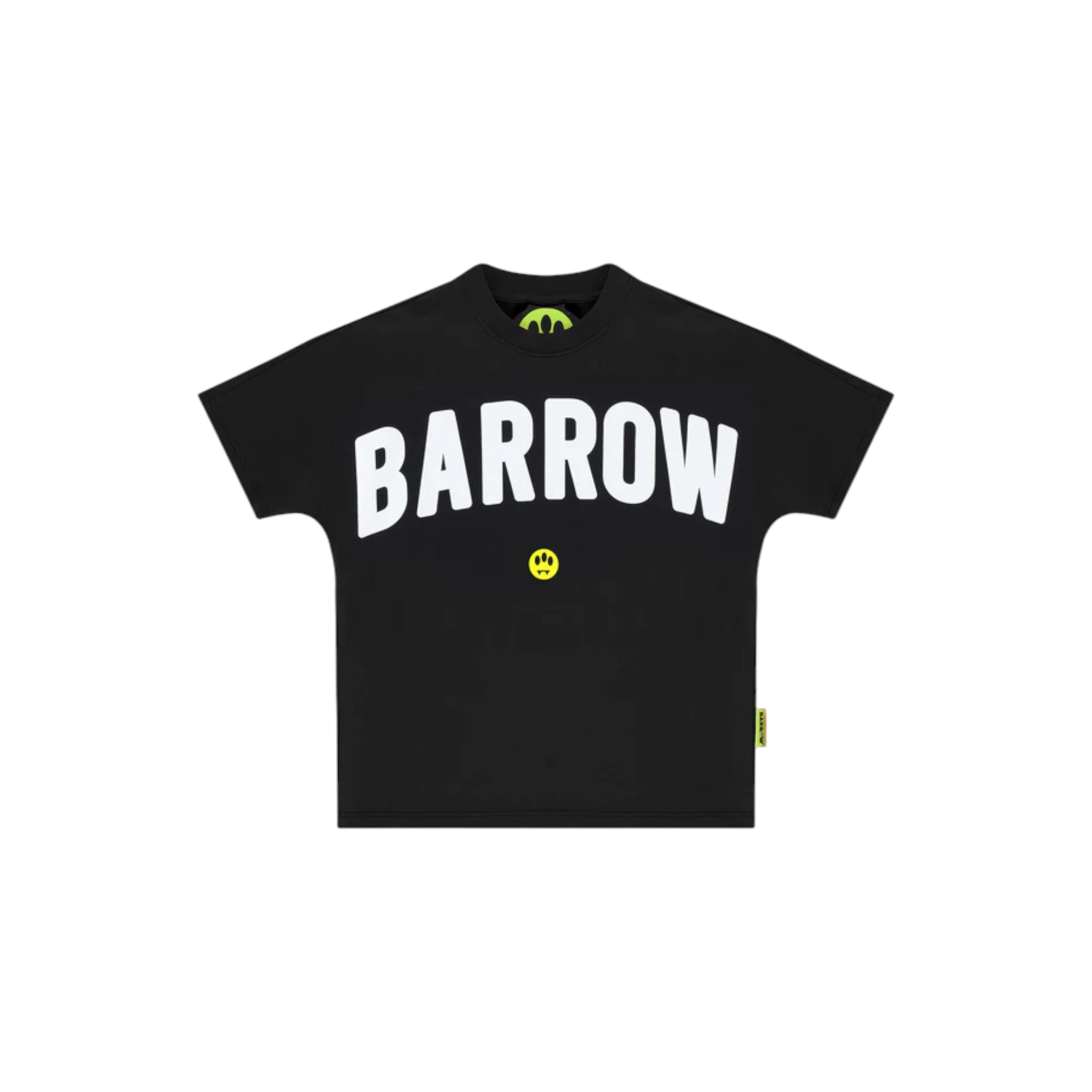 BARROW S5BKJUTH063110