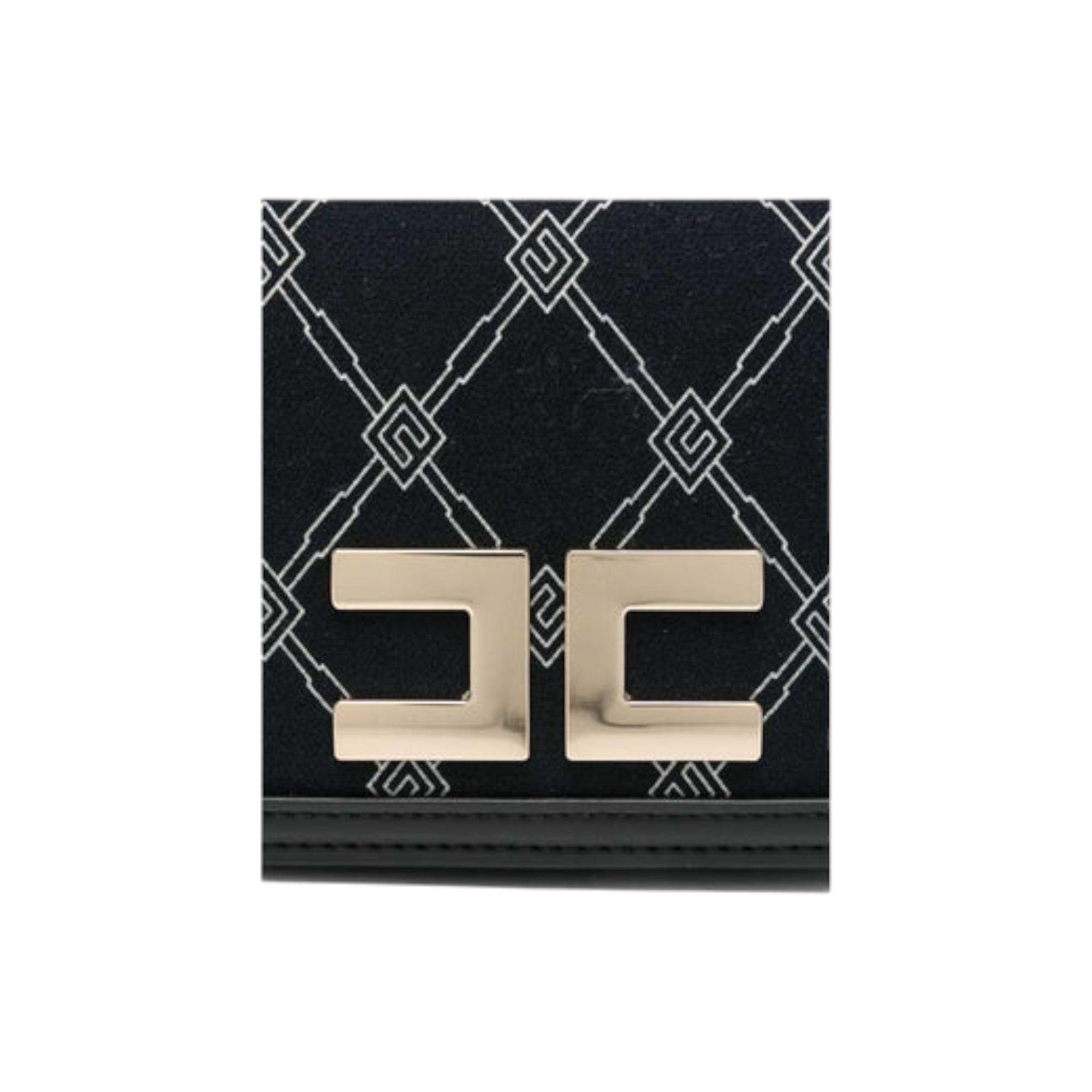 ELISABETTA FRANCHI EFBO104.C.GA018D062